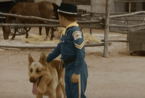 Aventuras de Rin Tin Tin