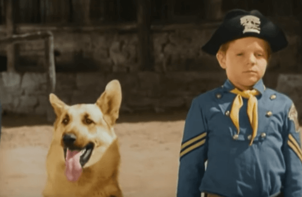 Conheça as Aventuras de Rin Tin Tin no SBT: Uma viagem ao passado!