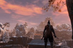 Como Sekiro perdeu o braço?