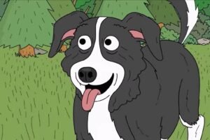 Mr. Pickles