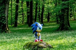 Sonic: Foto do Amigo